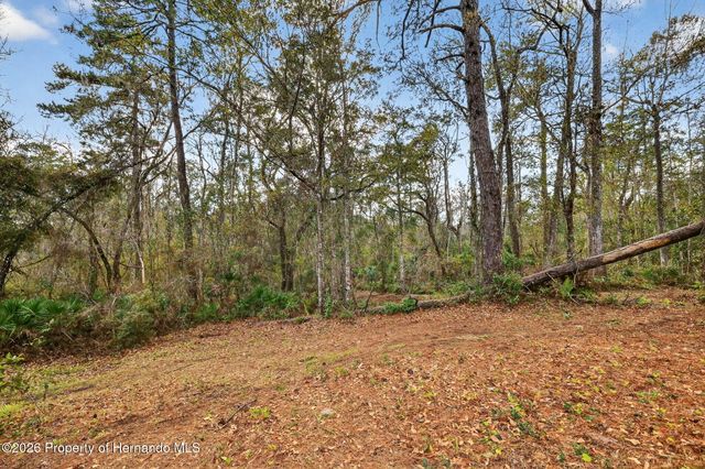 0 Powell Road, Brooksville, FL 34602