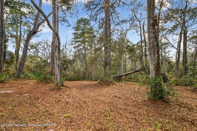 0 Powell Road, Brooksville, FL 34602