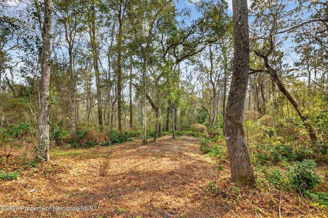 0 Powell Road, Brooksville, FL 34602