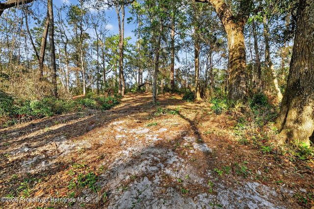0 Powell Road, Brooksville, FL 34602