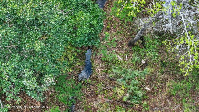 0 Powell Road, Brooksville, FL 34602