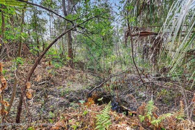 0 Powell Road, Brooksville, FL 34602