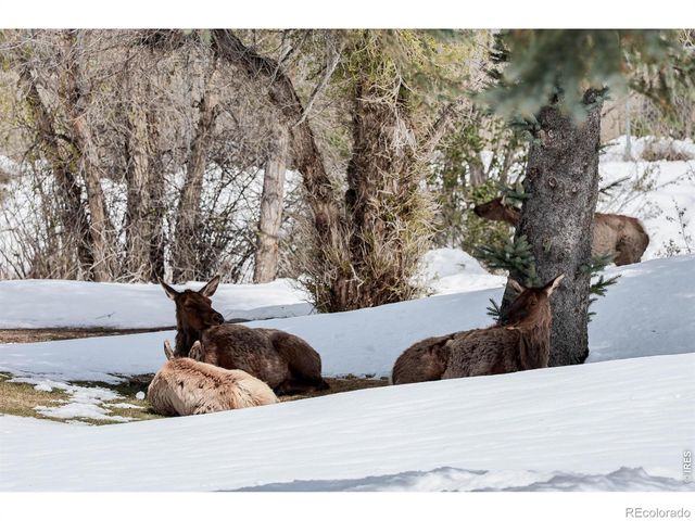 836 Vista Lane, Estes Park, CO 80517