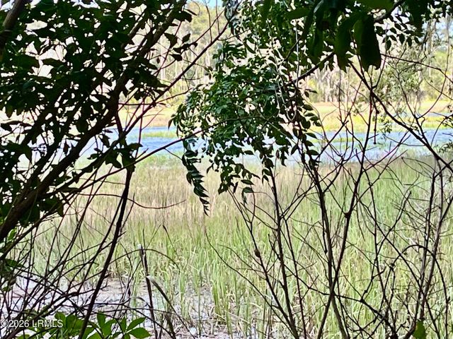 Tbd Mattis Drive, St. Helena Island, SC 29920