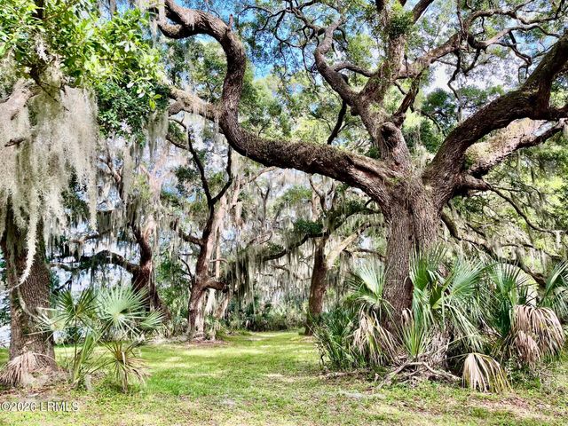 Tbd Mattis Drive, St. Helena Island, SC 29920