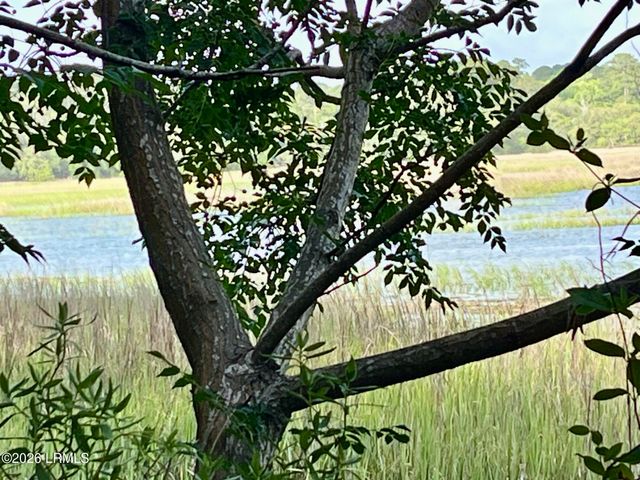 Tbd Mattis Drive, St. Helena Island, SC 29920