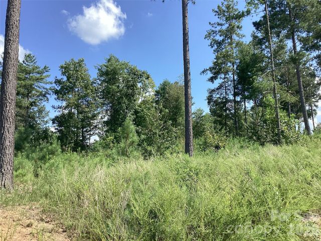 3292 Pyramid Peak Trail 211, Connelly Springs, NC 28612
