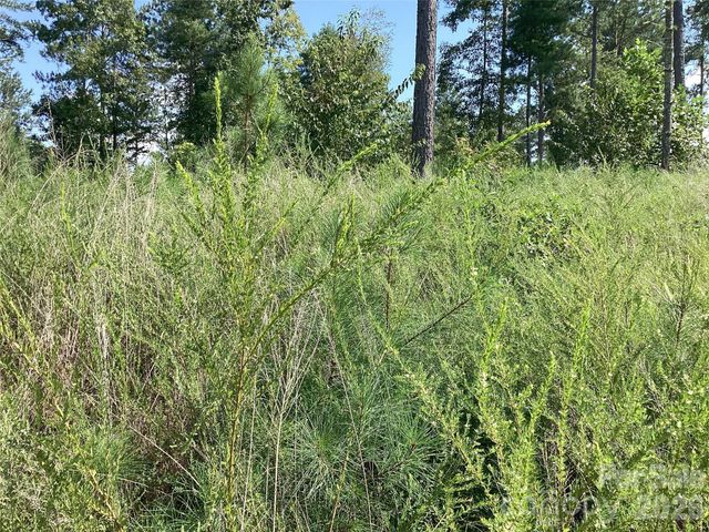 3292 Pyramid Peak Trail 211, Connelly Springs, NC 28612