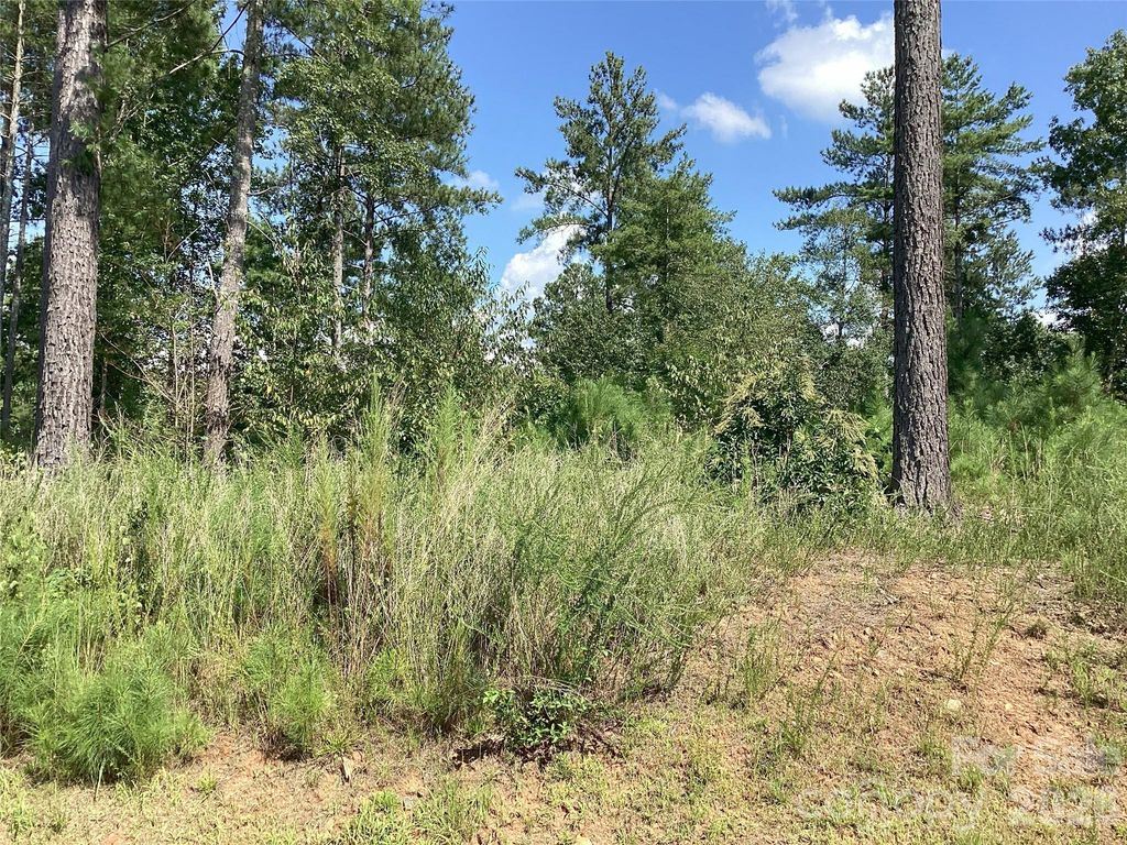 3292 Pyramid Peak Trail 211, Connelly Springs, NC 28612