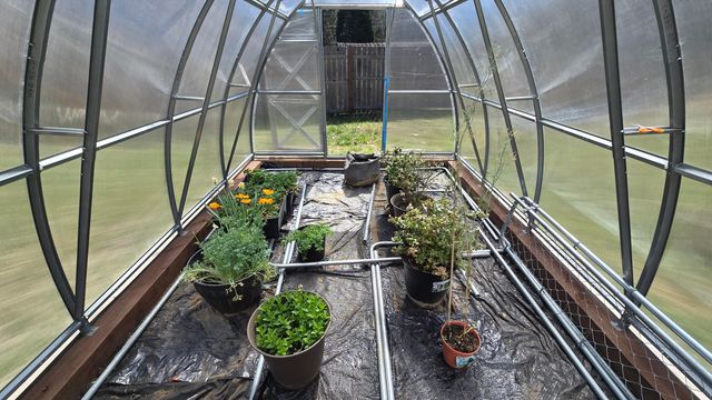 2917 Cantara Road, Mount Shasta, CA 96067