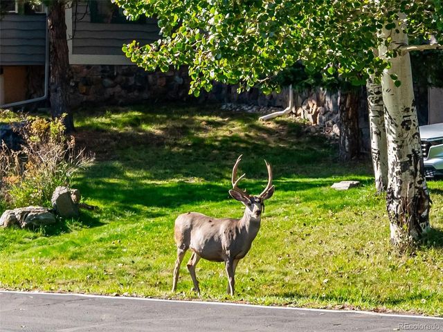 31719 Rocky Village Dr 311, Evergreen, CO 80439