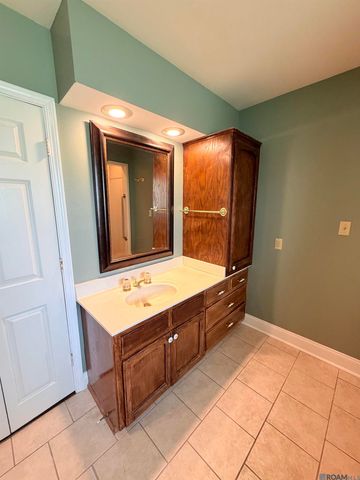 14163 Troy Duplessis Rd, Gonzales, LA 70737
