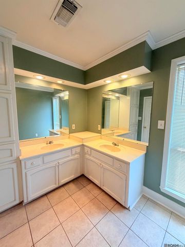14163 Troy Duplessis Rd, Gonzales, LA 70737