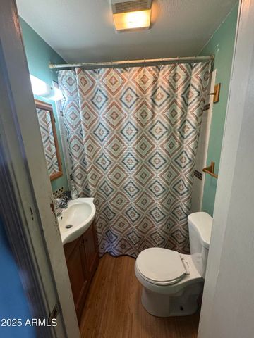 22 County Road 6013 --, St Johns, AZ 85936