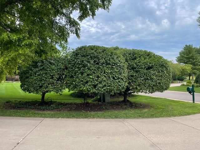 4606 Signature Drive, Middleton, WI 53562