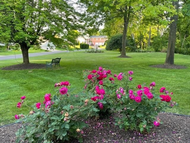 4606 Signature Drive, Middleton, WI 53562