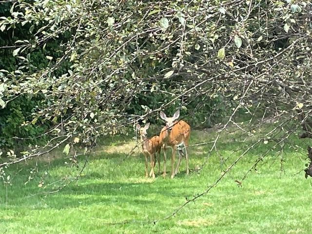 4606 Signature Drive, Middleton, WI 53562