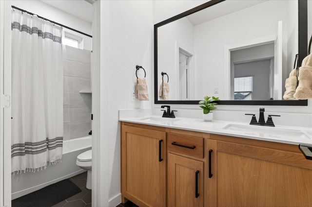 15562 Fringe Tree Road, Frisco, TX 75035