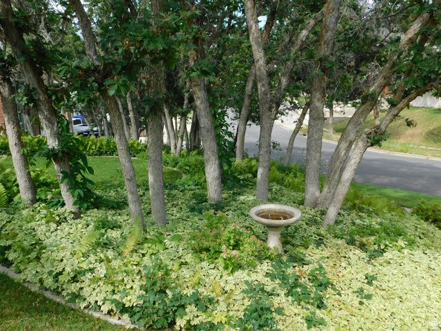 2148 S CAROLYN WAY, Bountiful, UT 84010