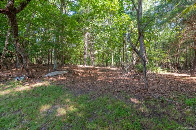 5 Cedar Grove Terrace, Middle Island, NY 11953