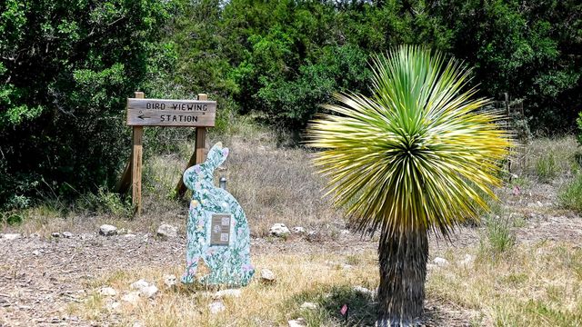 430 Leaning Rock RDG, Austin, TX 78737