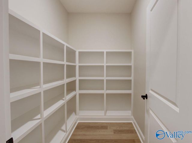 12392 Narayan Street, Madison, AL 35756