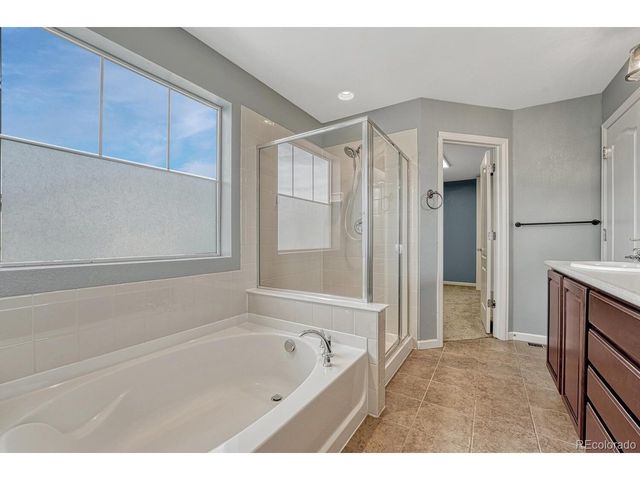 3195 Arroyo Verde Way, Castle Rock, CO 80108