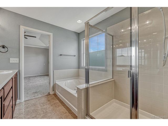 3195 Arroyo Verde Way, Castle Rock, CO 80108