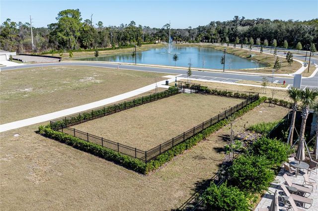 976 BEAR HAMMOCK DRIVE, Umatilla, FL 32784