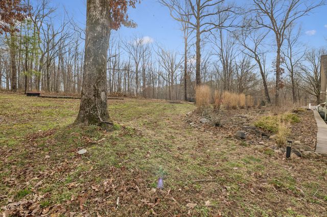 111 Dylark Dr, Waverly, TN 37185