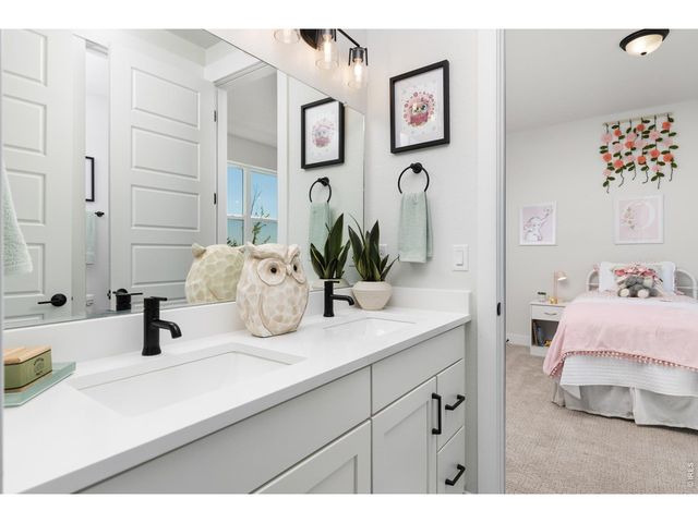 1819 Vista Valley Dr, Windsor, CO 80550