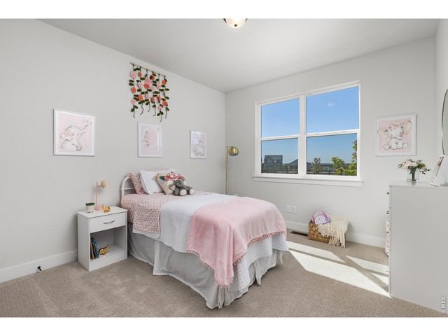 1819 Vista Valley Dr, Windsor, CO 80550