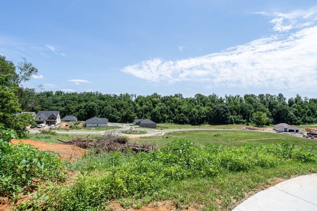 456 Gransley Court, Johnson City, TN 37615