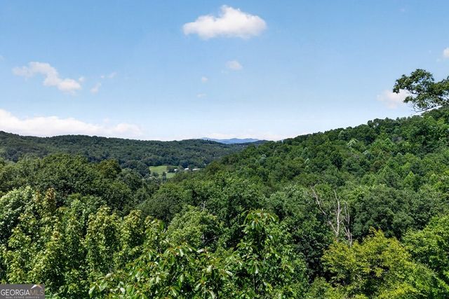 573 Weaver Creek Way, Blue Ridge, GA 30513