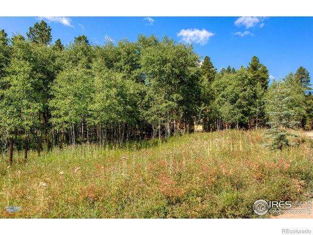 423 Mountain Meadows Drive, Black Hawk, CO 80422