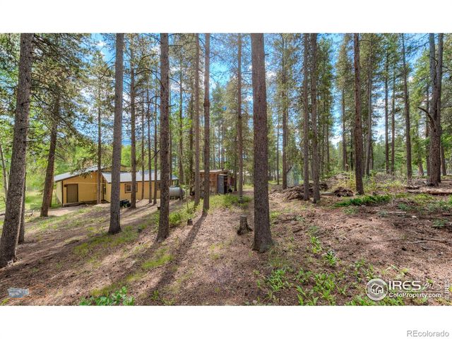 423 Mountain Meadows Drive, Black Hawk, CO 80422