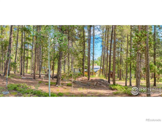 423 Mountain Meadows Drive, Black Hawk, CO 80422