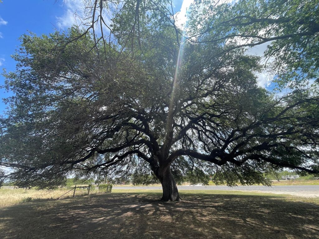 Image 36 of property listing at 1305 N Broadway Street, Mertzon, TX 76941