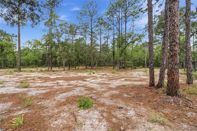 16125 Magpie Road, Weeki Wachee, FL 34614