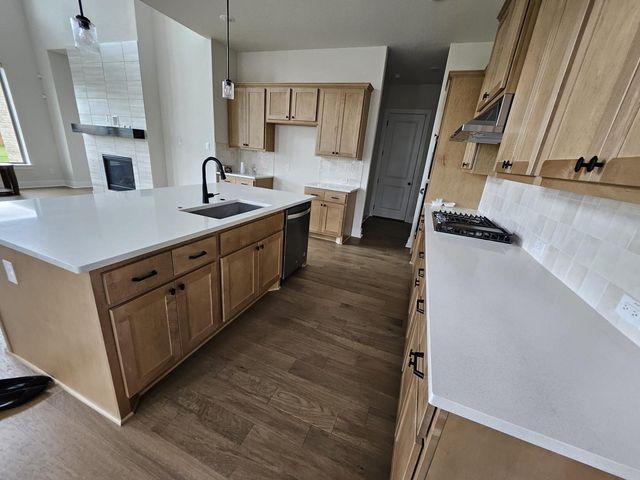 104 Palatino BND, Liberty Hill, TX 78642