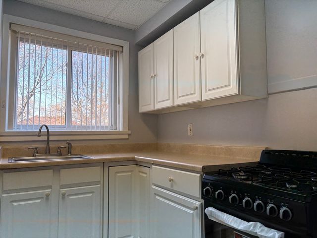 10904 S Avenue D Avenue 3S, Chicago, IL 60617