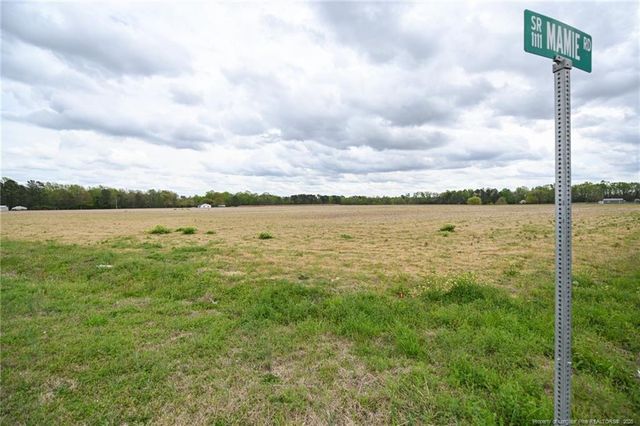 95 Mamie Road, Benson, NC 27504