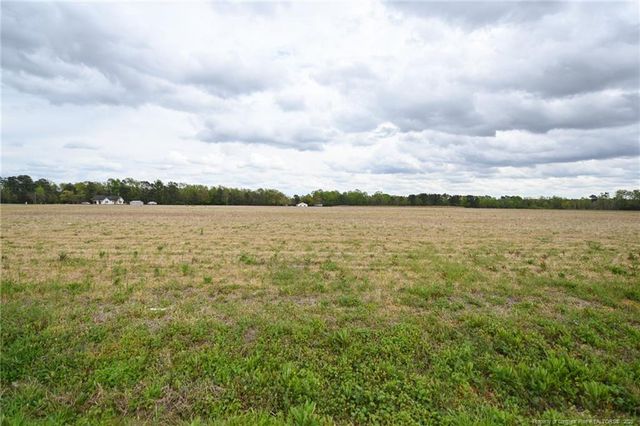 95 Mamie Road, Benson, NC 27504