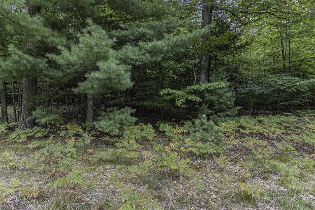 Lot 14 Pine Street, Mears, MI 49436
