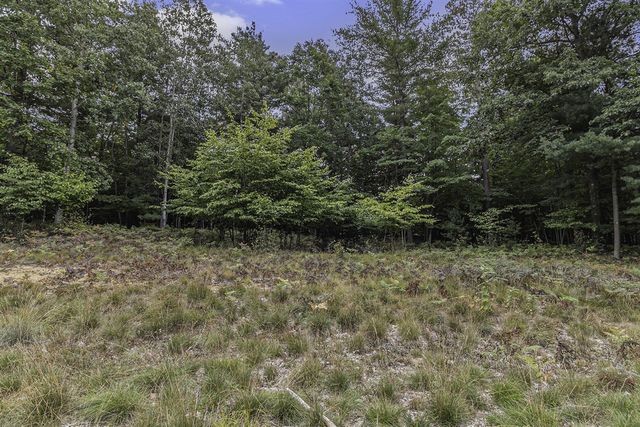 Lot 14 Pine Street, Mears, MI 49436