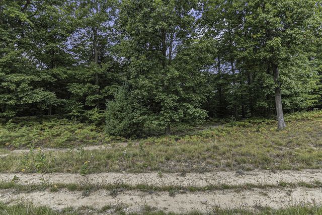 Lot 14 Pine Street, Mears, MI 49436
