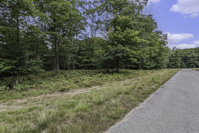 Lot 14 Pine Street, Mears, MI 49436
