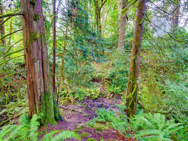 1002 Nw 189TH St, Ridgefield, WA 98642