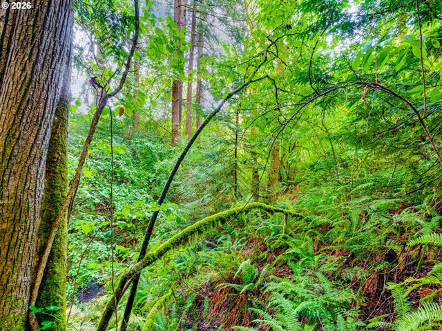 1002 Nw 189TH St, Ridgefield, WA 98642