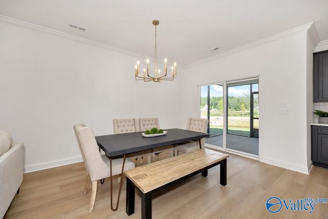 101 Stenness Branch, Madison, AL 35756